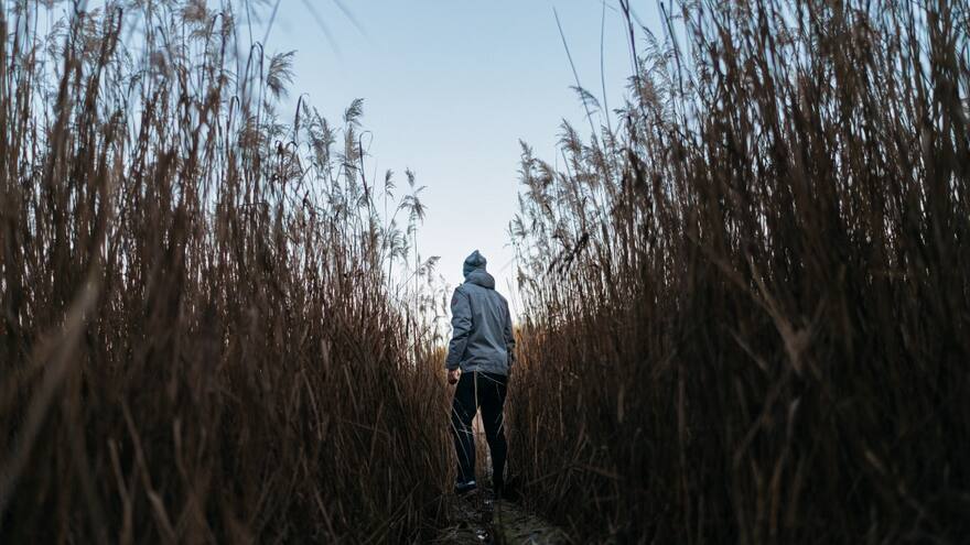 Día Mundial del Soltero: ¿Por qué se celebra el 11 de noviembre?