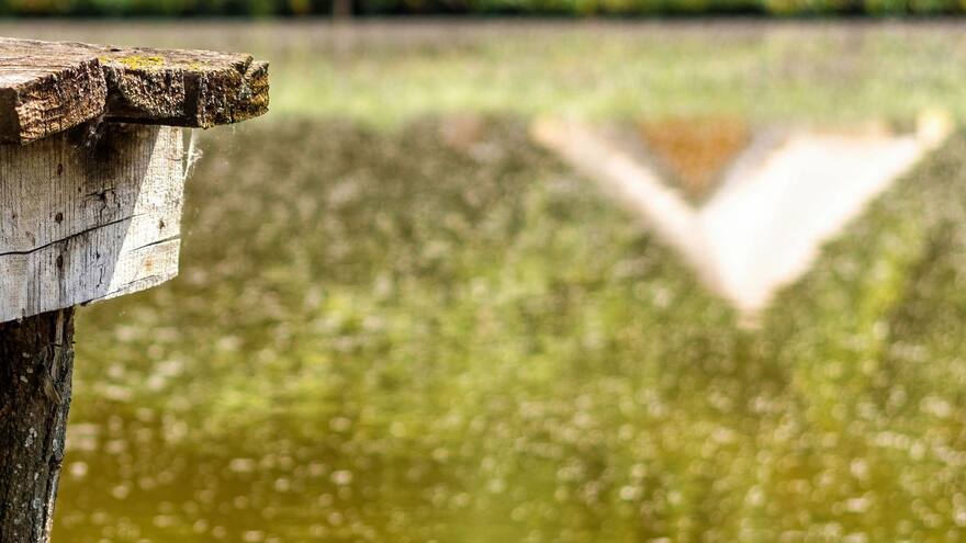 ‘Glamping’en Cundinamarca: pareja murió asfixiada