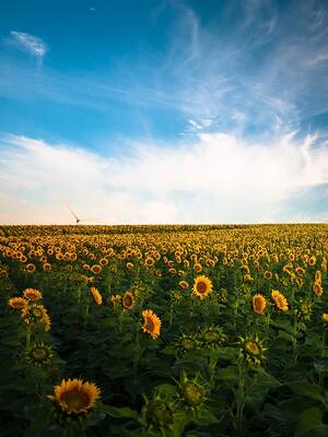 Mala herenia | Columna de Emilio Sardi