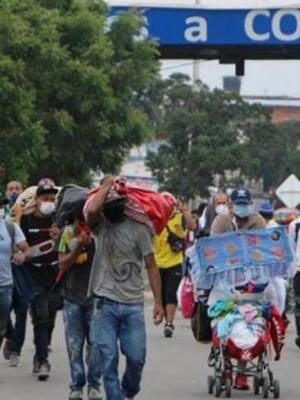 Historias de carne y hueso | Columna de Daniela Cepeda Tarud