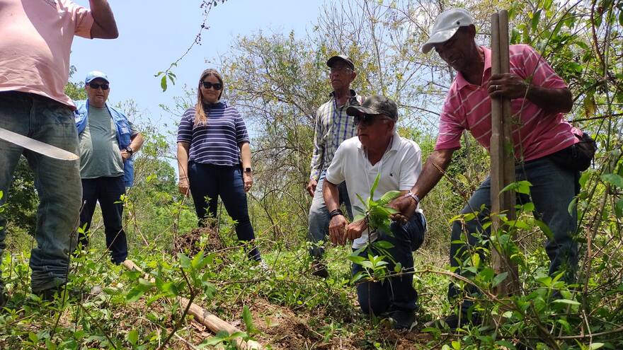 Entregan 600 árboles a la comunidad de Pita y Cienaguita en Repelón