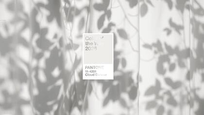 Ya se conoce cuál será el color del año para 2026