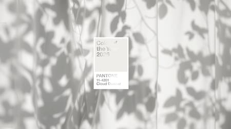 Ya se conoce cuál será el color del año para 2026