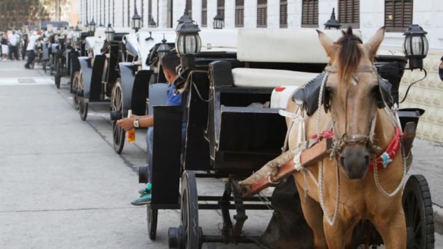 En el fin de semana no operaron 25 coches turísticos en Cartagena