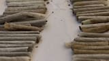 Policía de Venezuela detiene a un hombre por transportar 315 kilos de marihuana