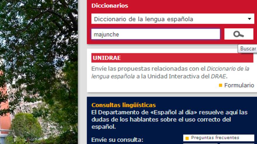 La palabra cultura, la más buscada tras el 'majunche' de Chávez