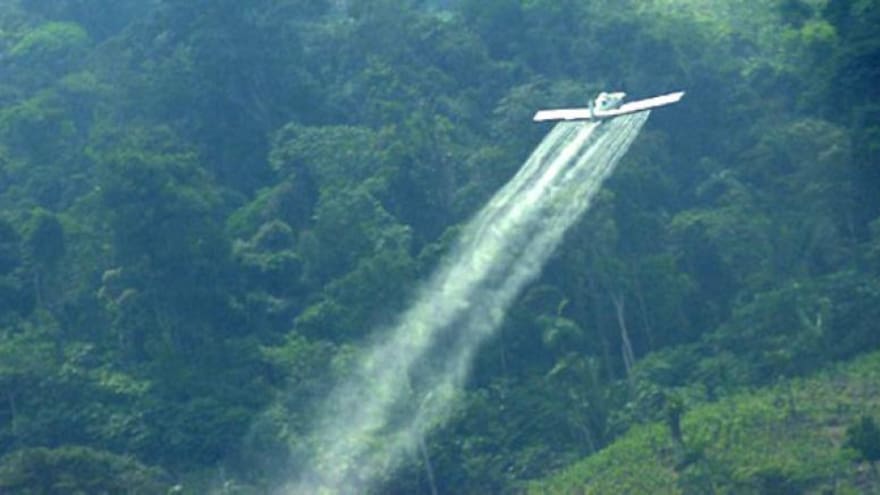 Colombia 'rechaza' llamado de relatores de la ONU sobre el glifosato