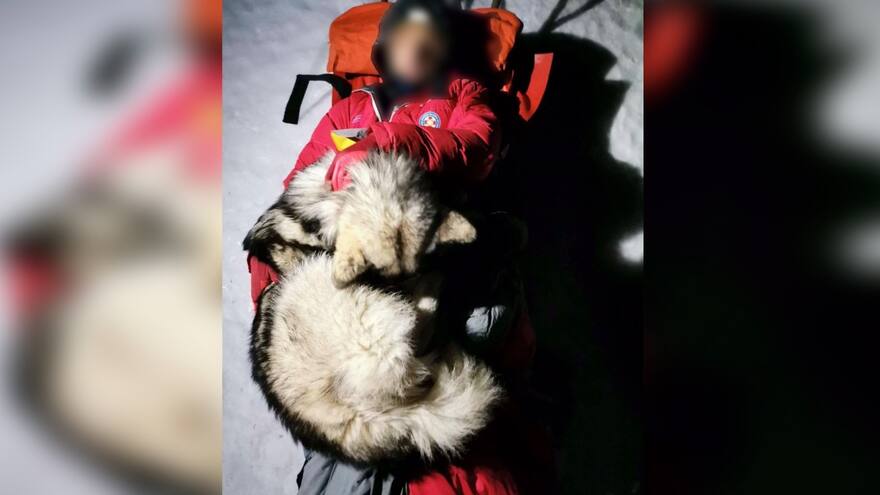Canino mantuvo con vida a un excursionista durante 13 horas