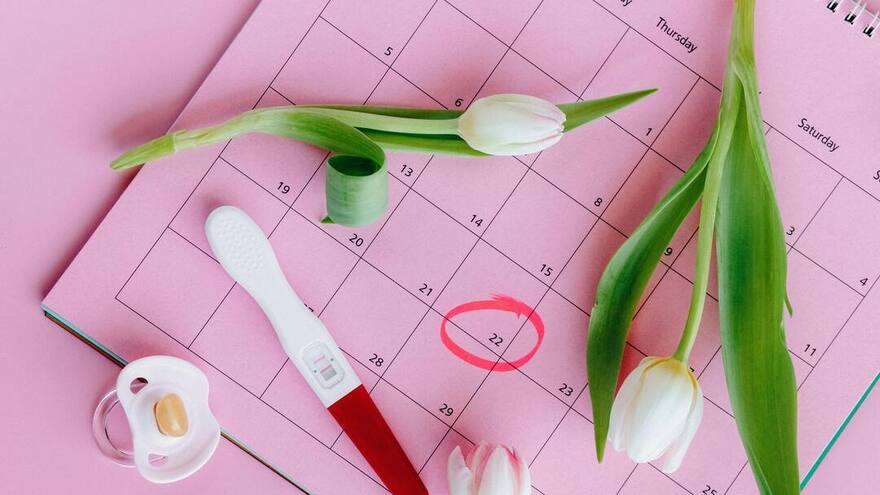 Salud hormonal: 4 datos clave para entender su impacto en la salud diaria