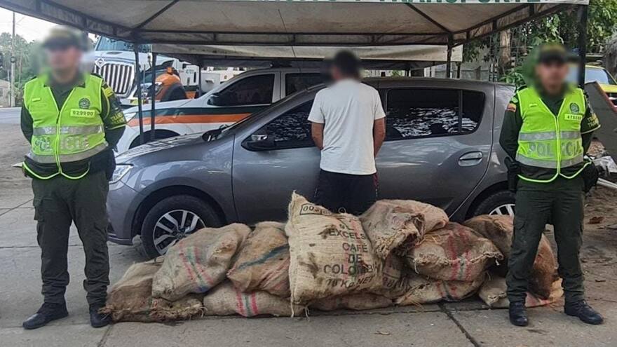 En Córdoba incautan 296 tortugas que iban a ser sacrificadas en Semana Santa