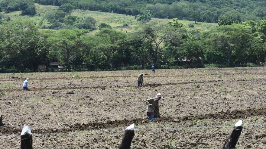 Finagro ha colocado más de $2,66 billones en crédito agro para mujeres