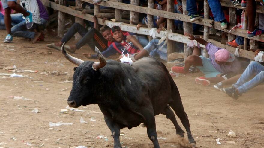 Un hombre murió de una cornada en la corraleja de Malagana, Bolívar