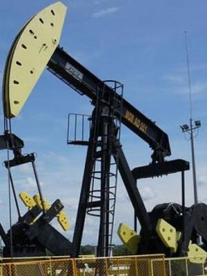 Dañino oso internacional | Columna de Jorge E. Robledo