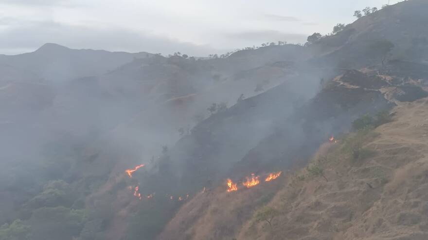 Emergencia por incendio forestal en La Guajira