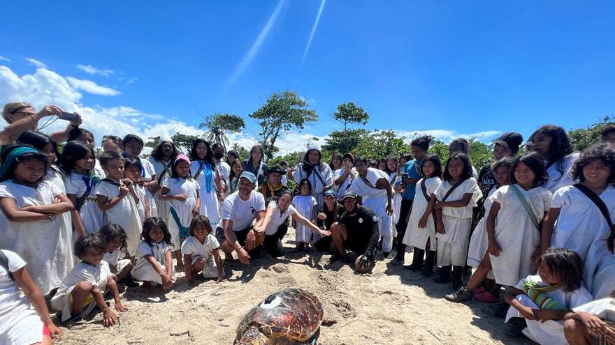 Magdalena: se liberaron 19 tortugas marinas, una de ellas con un transmisor satelital por Corpamag