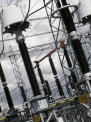 La ballena y el cardumen | Columna de Ricardo Plata Cepeda