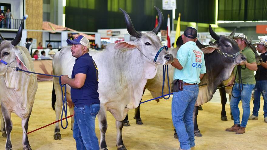Este miércoles inicia la cuarta edición de Agroexpo Caribe en Barranquilla