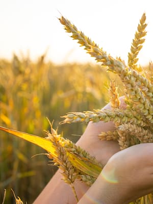 Reforma Agraria: ¿Y de esto qué? | Columna de José Félix Lafaurie