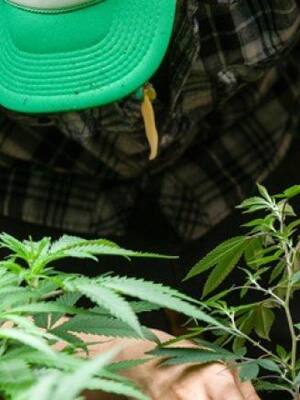 El último empujoncito