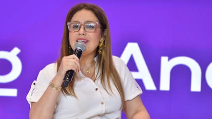 Gobierno activa anticipo de subsidios en el sector eléctrico