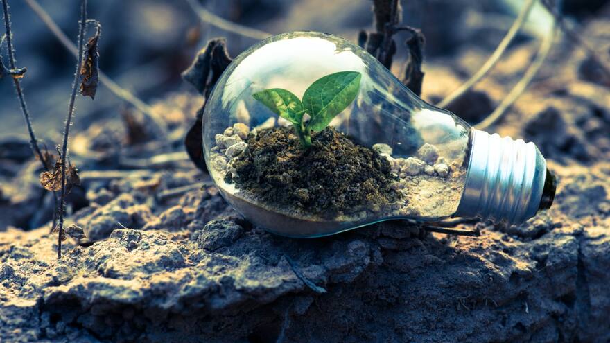 ¿Por qué se celebra el Día del Medio Ambiente el 5 de junio?