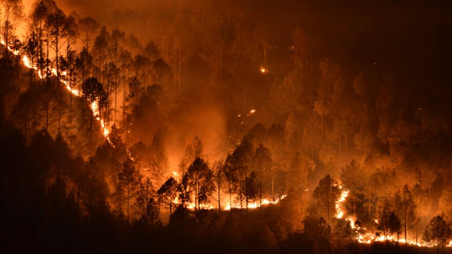 La contaminación por incendios forestales se vincula al riesgo de suicidio en zonas rurales