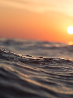 ¿Puede el océano ayudar a salvar el planeta? | Columna de Isidoro Hazbun