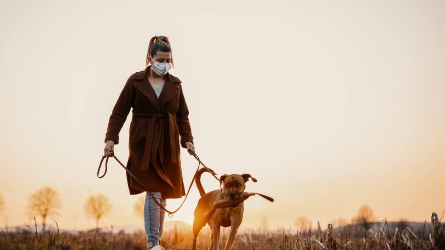 El paseo: una actividad saludable y divertida