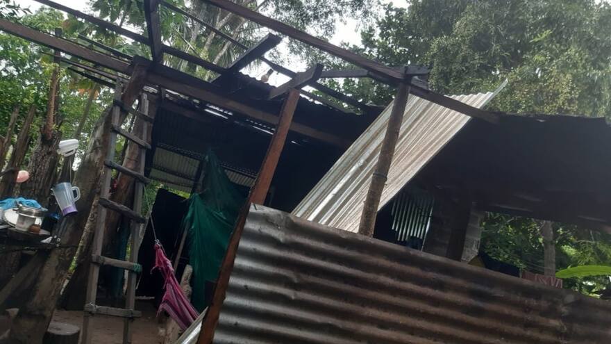 Fuertes vientos en San Pelayo, Córdoba, causaron estragos: se cayeron varios árboles y algunas viviendas quedaron destechadas