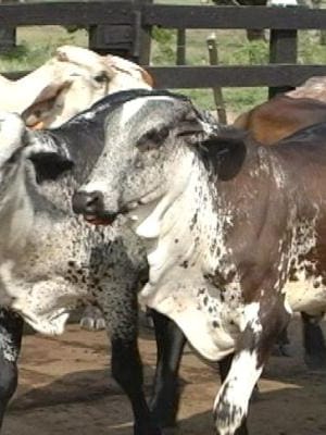 ¡Menos política electoral!