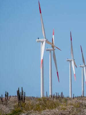 Vientos y aspavientos | columna de Amylkar D. Acosta