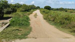 La vía El Cauchal-Sucre, en La Mojana, no es lo que la comunidad esperaba