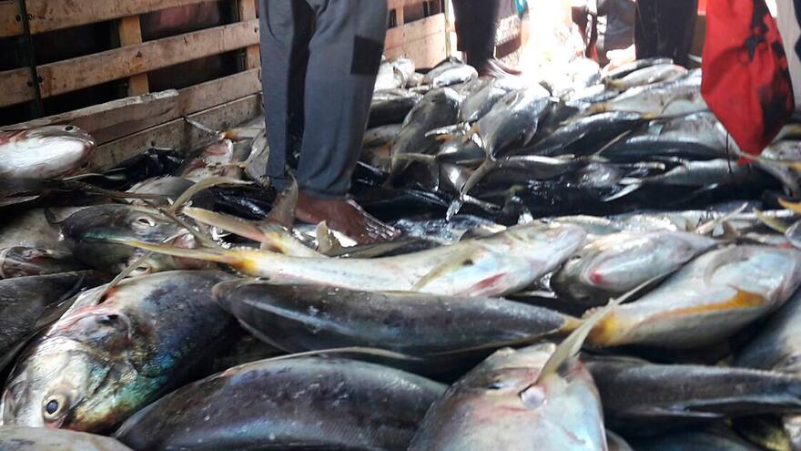 Subienda en Puerto Colombia