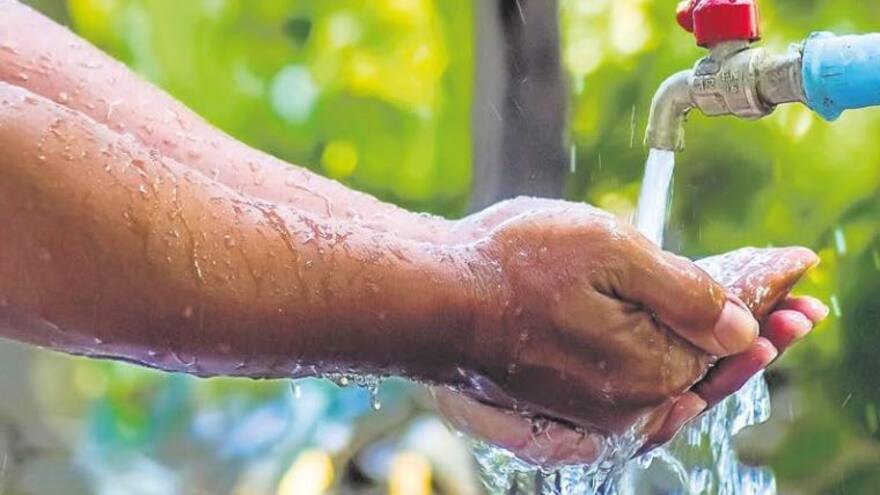 Demanda de agua mundial caería un 10 % reduciendo consumo de carne a la mitad