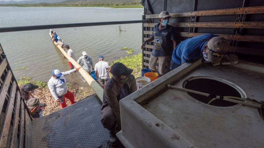 En Repelón se dio inicio al repoblamiento de alevinos