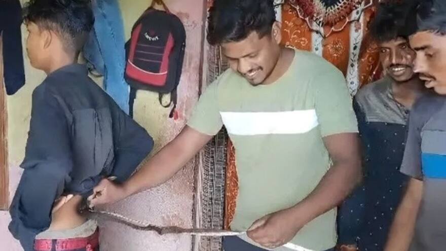 India: Joven es considerado un dios de la religión hindú por tener una cola de 61 centímetros de longitud