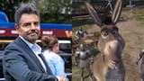 Eugenio Derbez confirma su regreso como Burro en Shrek 5