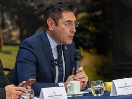 Presidente del CNE dice que ya se declaró la elección de representantes a la Cámara en 19 departamentos