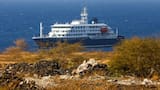 ¿Qué es el hantavirus y por qué preocupa tras casos en crucero?