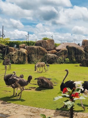 Ukumarí: Un compromiso con la vida, nuestra misión