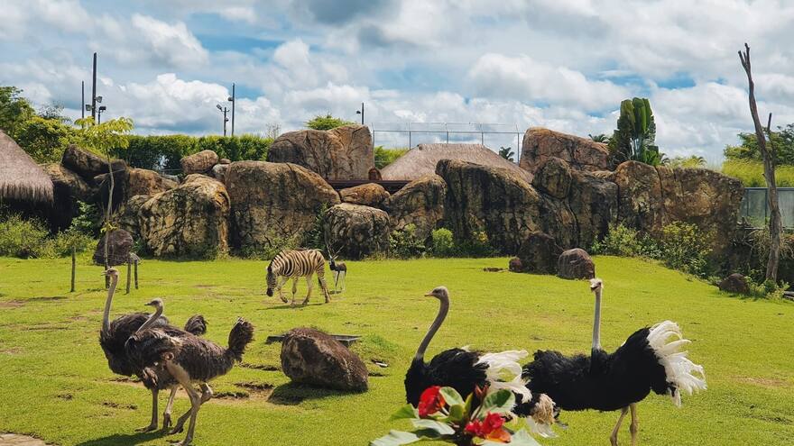 Ukumarí: Un compromiso con la vida, nuestra misión