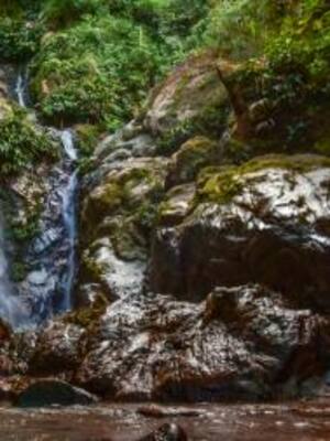 El fin del mundo | Columna de Fernando Giraldo