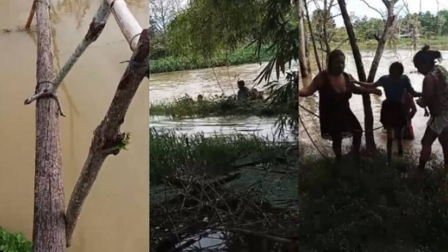 Dos niños que iban para la escuela cayeron al Caño Rabón, en la Mojana
