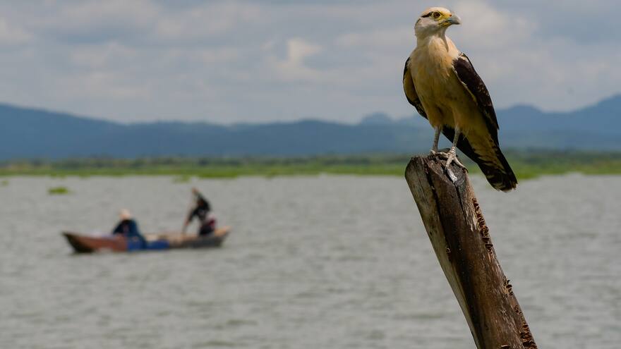 Recuperación de cuerpos de agua, misión para candidatos a la Gobernación