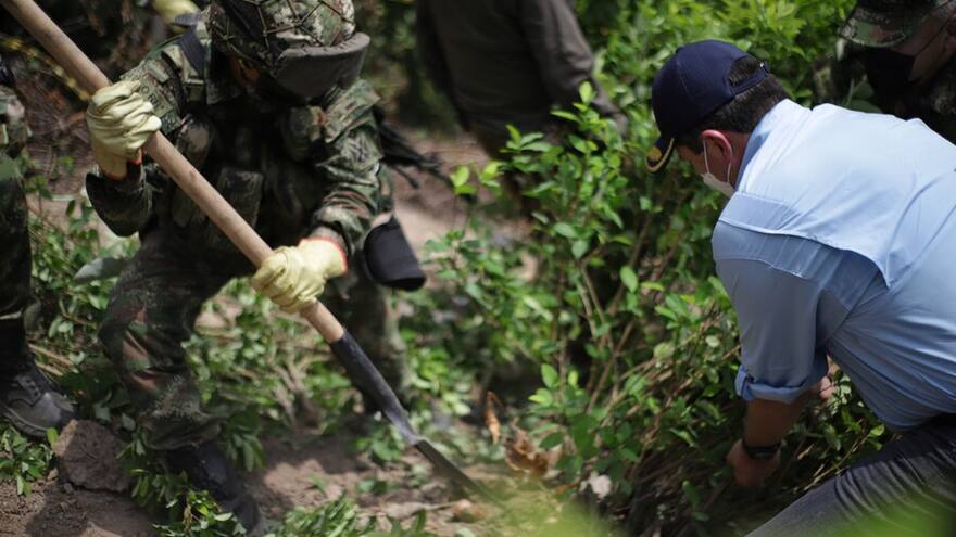 EEUU explica que suspendió el monitoreo de coca antes de la llegada de Petro