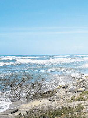 La erosión costera, un problema no menor