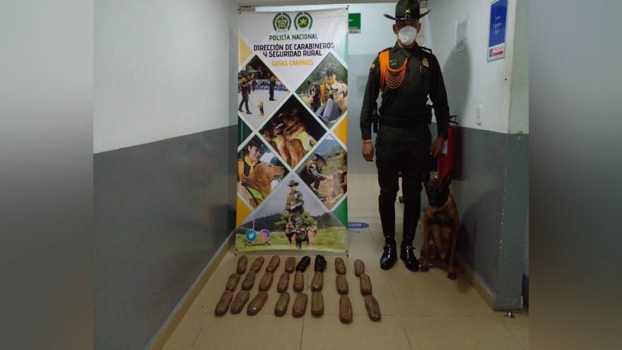 Marihuana camuflada en encomienda llegó a Barranquilla desde Cali