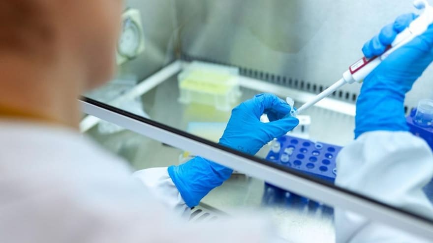 La OMS pide luchar contra 'el estigma' vinculado a la viruela del mono