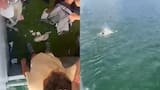 Giro en caso de joven que se ahogó en embalse de El Peñol-Guatapé por video de una riña previa a su muerte: “Ahóguenlo”