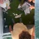 Giro en caso de joven que se ahogó en embalse de El Peñol-Guatapé por video de una riña previa a su muerte: “Ahóguenlo”
